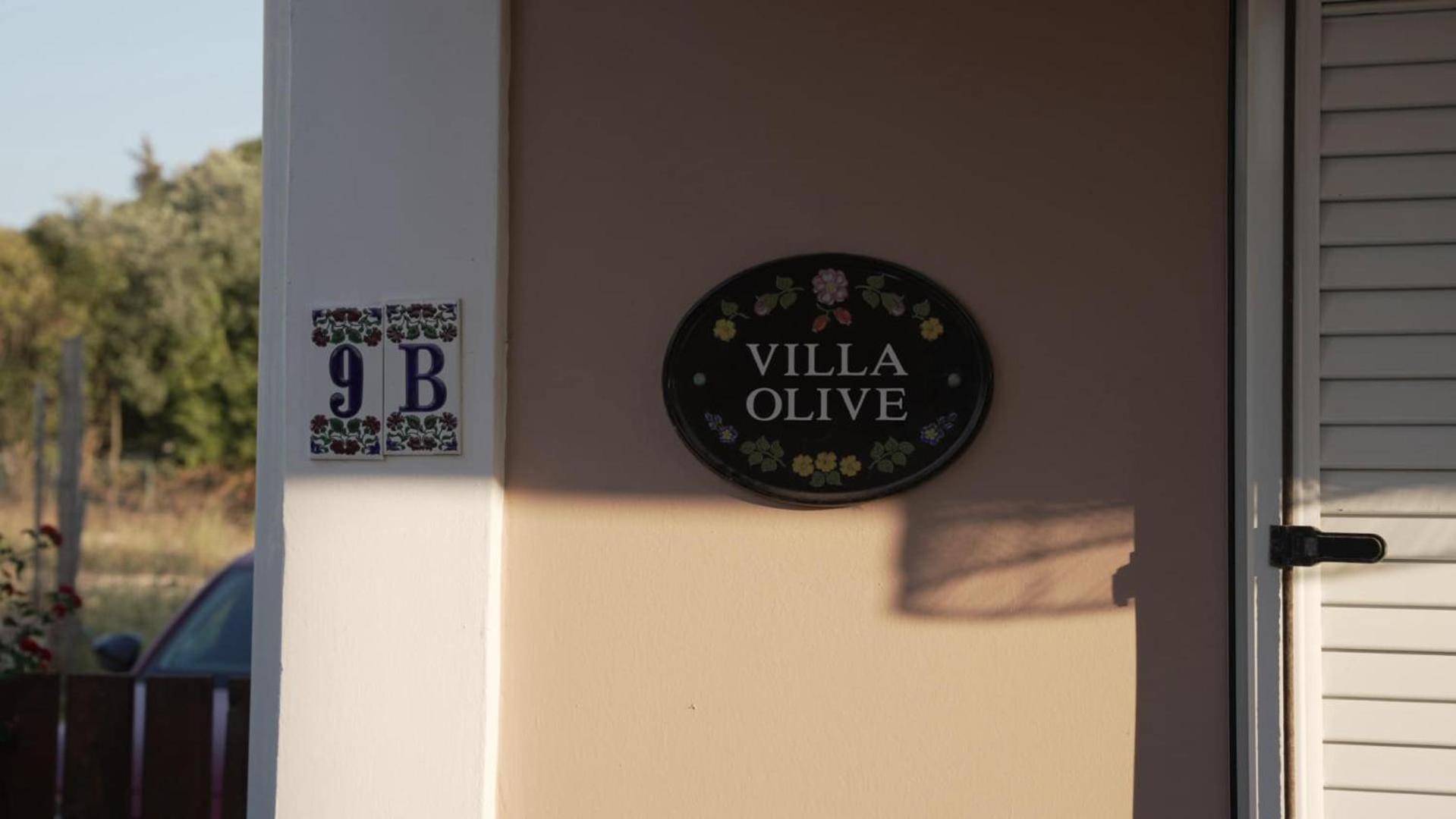 The Olive Grove Villa Plánosz Kültér fotó